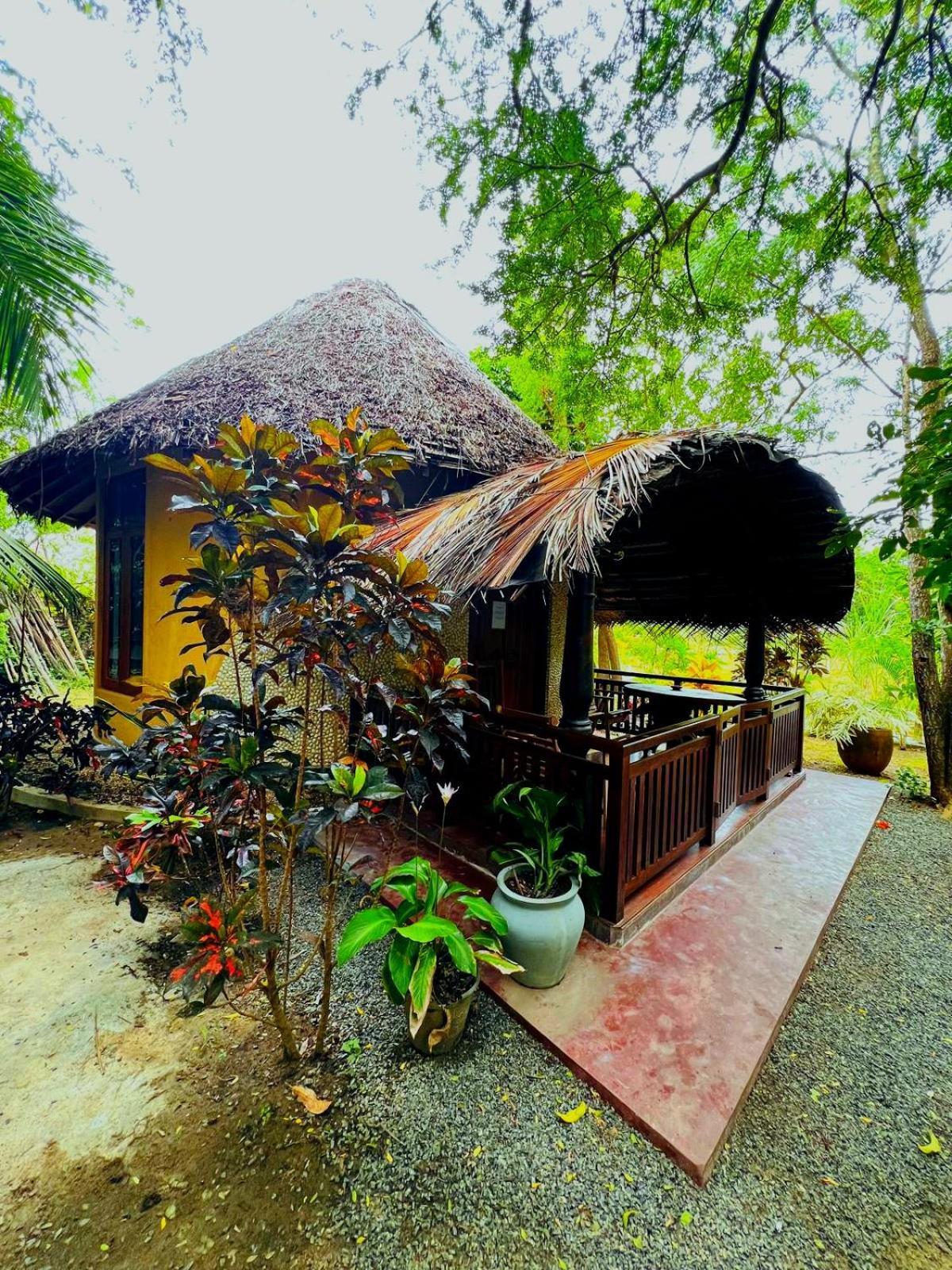 Turtle Watch Cabana Tangalle Exterior foto