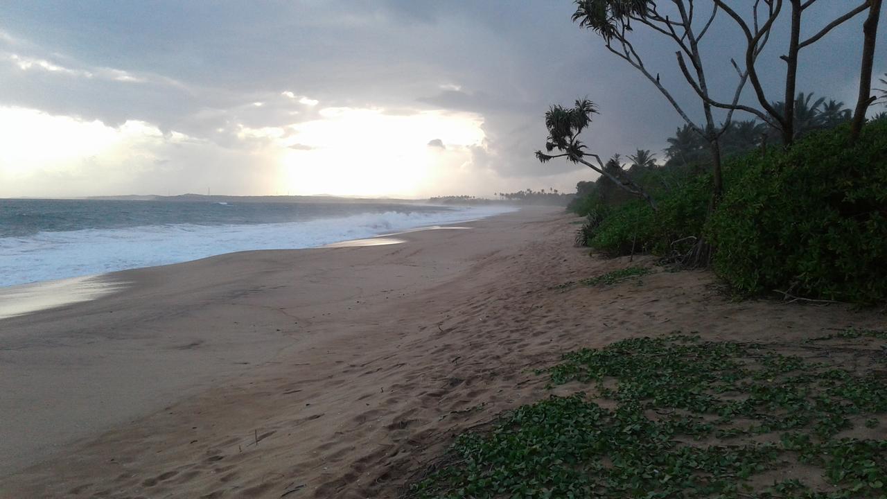 Turtle Watch Cabana Bed and Breakfast Tangalle Exterior foto