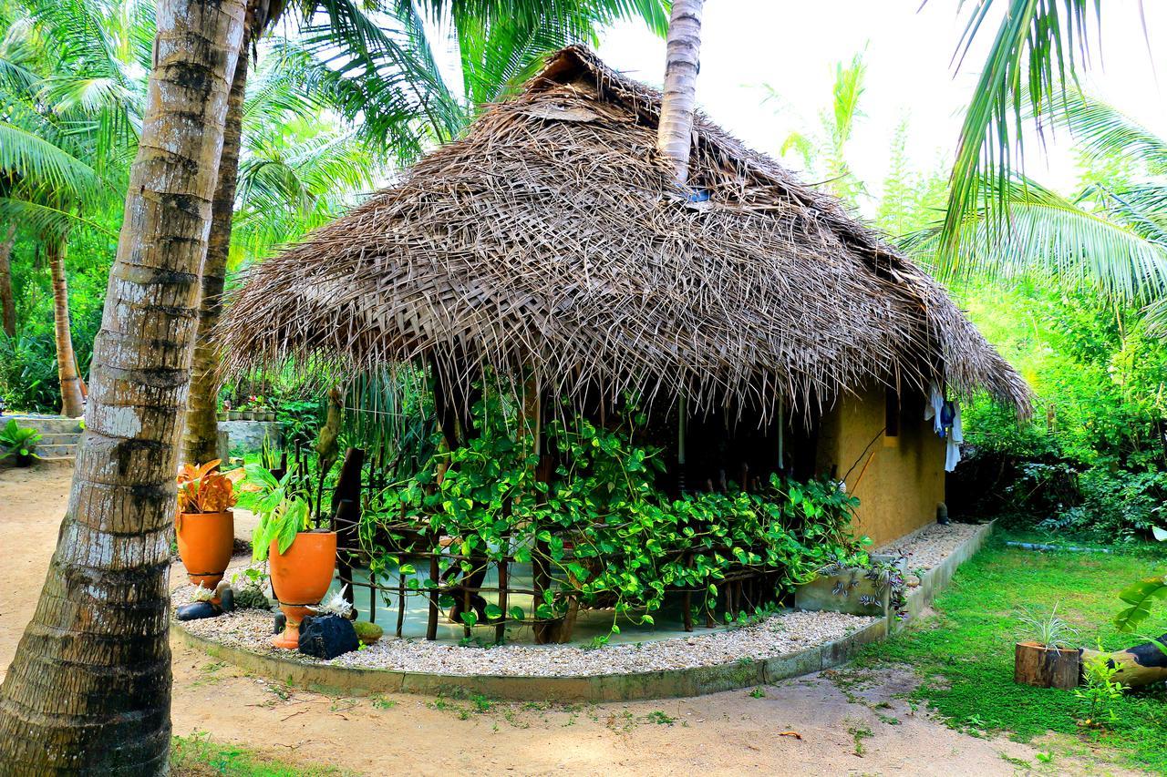 Turtle Watch Cabana Bed and Breakfast Tangalle Exterior foto