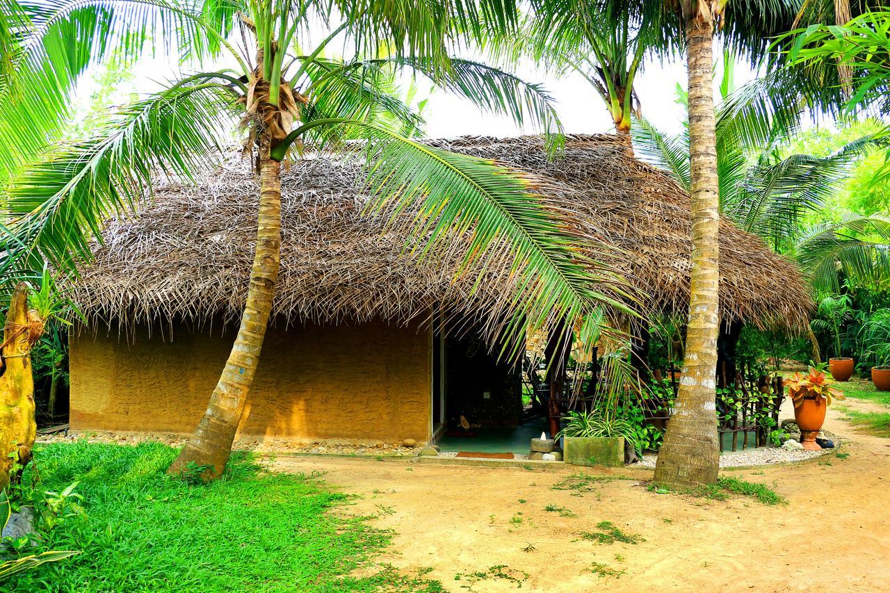 Turtle Watch Cabana Tangalle Exterior foto