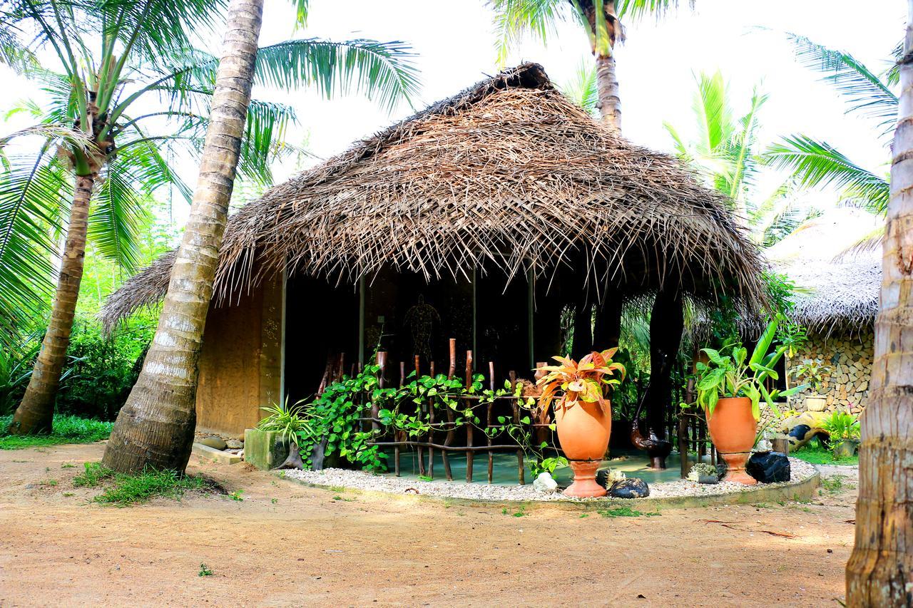 Turtle Watch Cabana Bed and Breakfast Tangalle Exterior foto