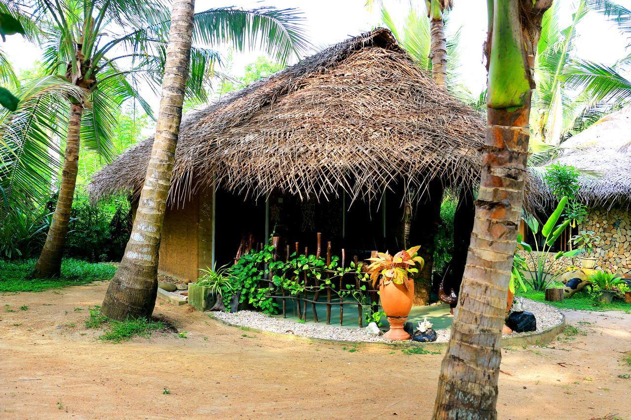 Turtle Watch Cabana Bed and Breakfast Tangalle Exterior foto